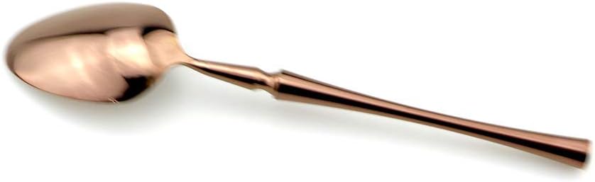 JASHII – Juego de vajilla de lujo de acero inoxidable 1810, juego de 5 piezas, brillante para restaurante, vajilla de cubiertos, 4