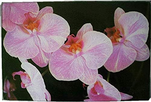 Tabla de cortar de vidrio templado 12 X 8 orquídea cocina arte superficie ahorrador
