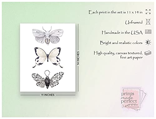 Butterfly Wall Art – Black & White Butterflies Decor – Watercolor Art Print – 11×14  Unframed Poster