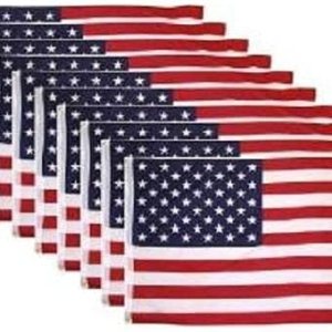 Premium 10 PACK – 3×5 Ft USA Nylon Printed Flag Grommets Flag Premium 10 PACK – 3×5 Ft USA Nylon Printed Flag Grommets Flag