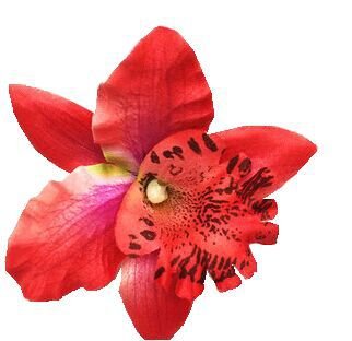 10 pinzas para el pelo de flores de gasa para mujer, diseño de mariposa, orquídea, cocodrilo, accesorios de boda, decoración de eventos de boda