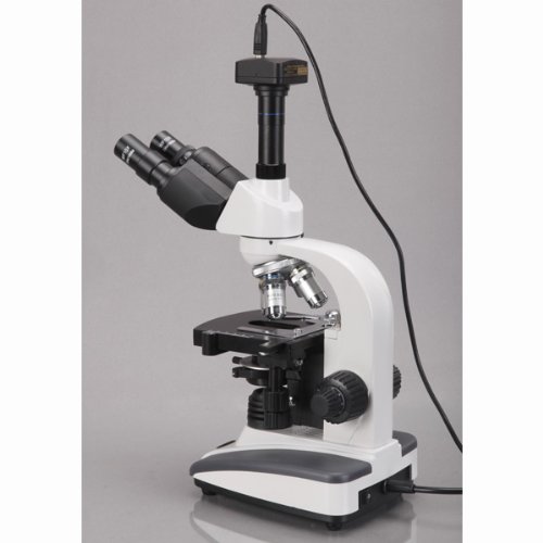 AmScope Microscopio LED de compuesto biológico trinocular 40X-2000X + cámara digital de 1.3MP