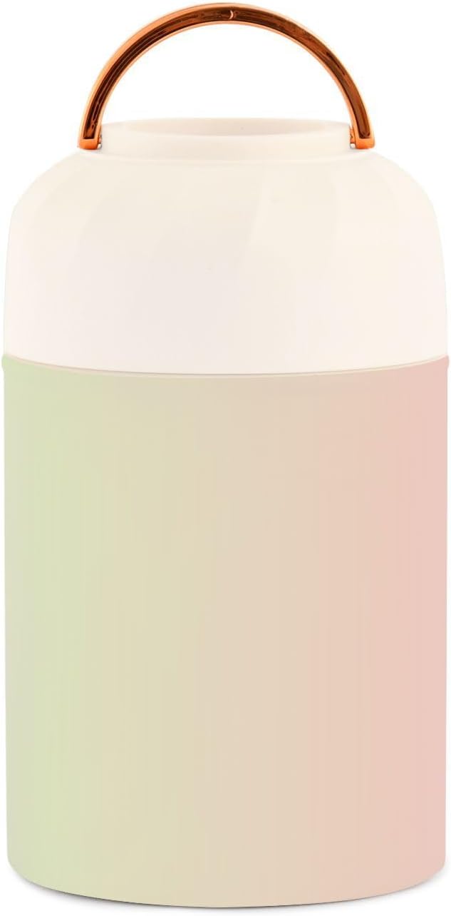 Tarro de comida degradado verde y rosa con cuchara de acero inoxidable aislado al vacío contenedor de alimentos de 17 oz frasco de alimentos para