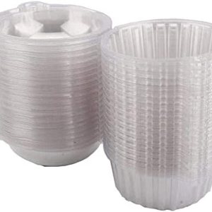 GOTOTOP Soporte individual para cupcakes, 400 unidades individuales individuales de plástico transparente para cupcakes, cajas con tapa para GOTOTOP Soporte individual para cupcakes, 400 unidades individuales individuales de plástico transparente para cupcakes, cajas con tapa para