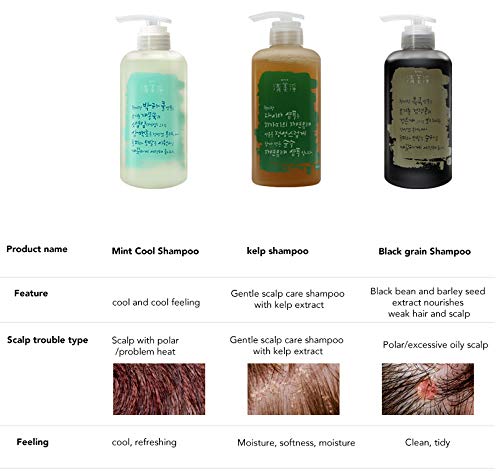 ChungMiJung Kelp Champú para cuero cabelludo pequeño para la caspa, 16.9 fl oz, orgánico 18 ingredientes de la naturaleza para pieles sensibles,