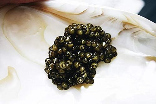 Old Classic Ossetra Sturgeon Malossol Caviar – Lata de 32 onzas, sabor exquisito, calidad, cosecha sostenible, caviar Ossetra gourmet real recién