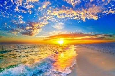 SpaScriptions Marine Moisture – Limpiador facial de espuma de mar, limpiador facial hidratante espumoso, limpiador facial purificador diario,