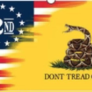 Bandera impresa de nailon 200D de BETSY ROSS GADSDEN de 5 x 8 pulgadas Bandera impresa de nailon 200D de BETSY ROSS GADSDEN de 5 x 8 pulgadas