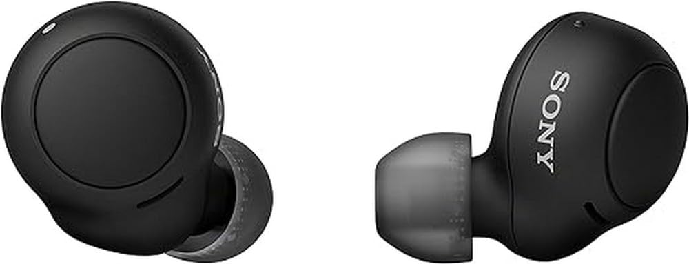 Sony Auriculares inalámbricos verdaderos, batería de hasta 20 horas, estuche de carga, compatible con asistente de voz, micrófono integrado para