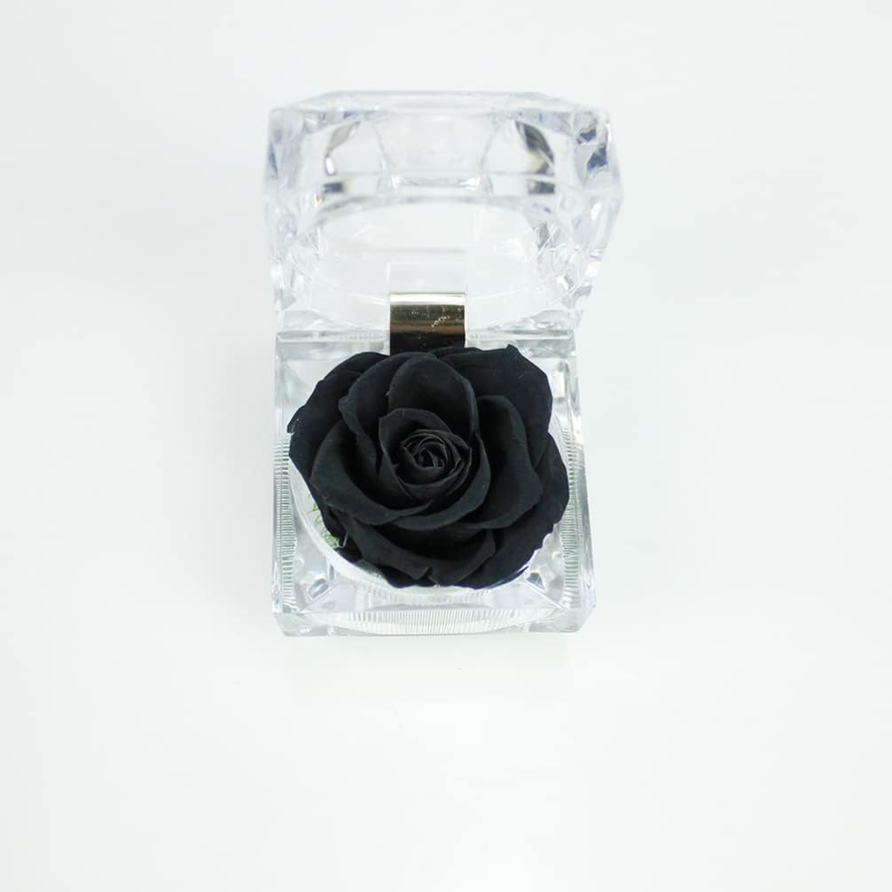 Gadpiparty Rosa preservada en una caja, regalo de rosa eterna en cúpula de cristal con cinta preservada para aniversario, cumpleaños, día de San