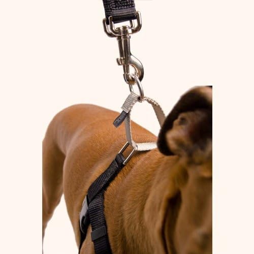 2 Hounds Design – Arnés Freedom sin jalones para perro, control ajustable, suave y cómodo para pasear perros fácilmente, para perros pequeños,