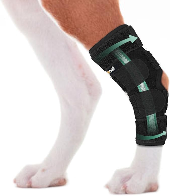 Lyderpet Soporte de pierna de perro para articulación trasera de corvejón, envoltura de compresión fuerte apoyo para pierna trasera para lesiones y