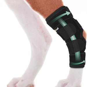 Soporte de pierna de perro para articulación trasera de corvejón, envoltura de compresión fuerte apoyo para pierna trasera para lesiones y Soporte de pierna de perro para articulación trasera de corvejón, envoltura de compresión fuerte apoyo para pierna trasera para lesiones y