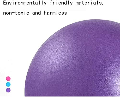 Small Pilates Ball 6 Inch Exercise Ball for Yoga Classroom Core Ball Barre Ball for Physical Therapy Balance Stretching with Pump