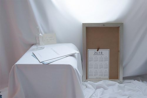 4.9×9.8ft White Seamless Fabric Backdrop,Thicken, Screen Backdrop,Polyester Material Background Cloth for Photography,Video and Televison,Good