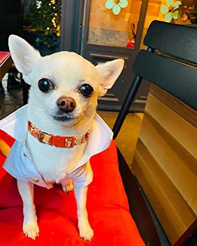 Collar de otoño para perros pequeños, paquete de 2 collares de perro de Acción de Gracias con patrón de arce y flores, ajustable y suave de llevar,