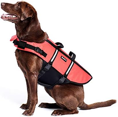 ZippyPaws Chaleco salvavidas para perros y cachorros, chaleco salvavidas para entrenamiento de natación para perros pequeños, medianos y grandes,