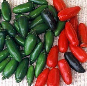 Seed Kingdom – Vegetal tradicional serrano picante de pimienta (200 semillas)