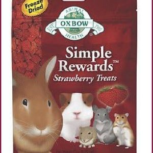Oxbow Pet Products Simple Rewards 96001 Golosinas de fresa de 0.5 onzas para animales pequeños Oxbow Pet Products Simple Rewards 96001 Golosinas de fresa de 0.5 onzas para animales pequeños