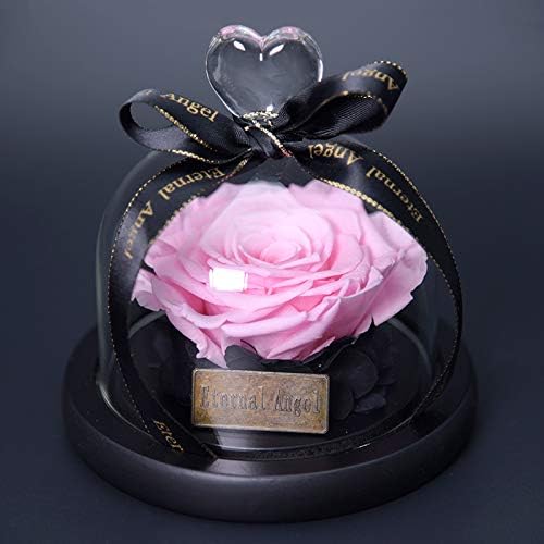Rosa preservada para siempre, regalos de cumpleaños para mujeres, mamá, esposa, abuela, flor real, vida eterna, rosas nunca marchitas en cúpula de