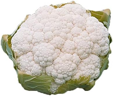 Park Seed Semillas de coliflor increíbles, paquete de 75 semillas