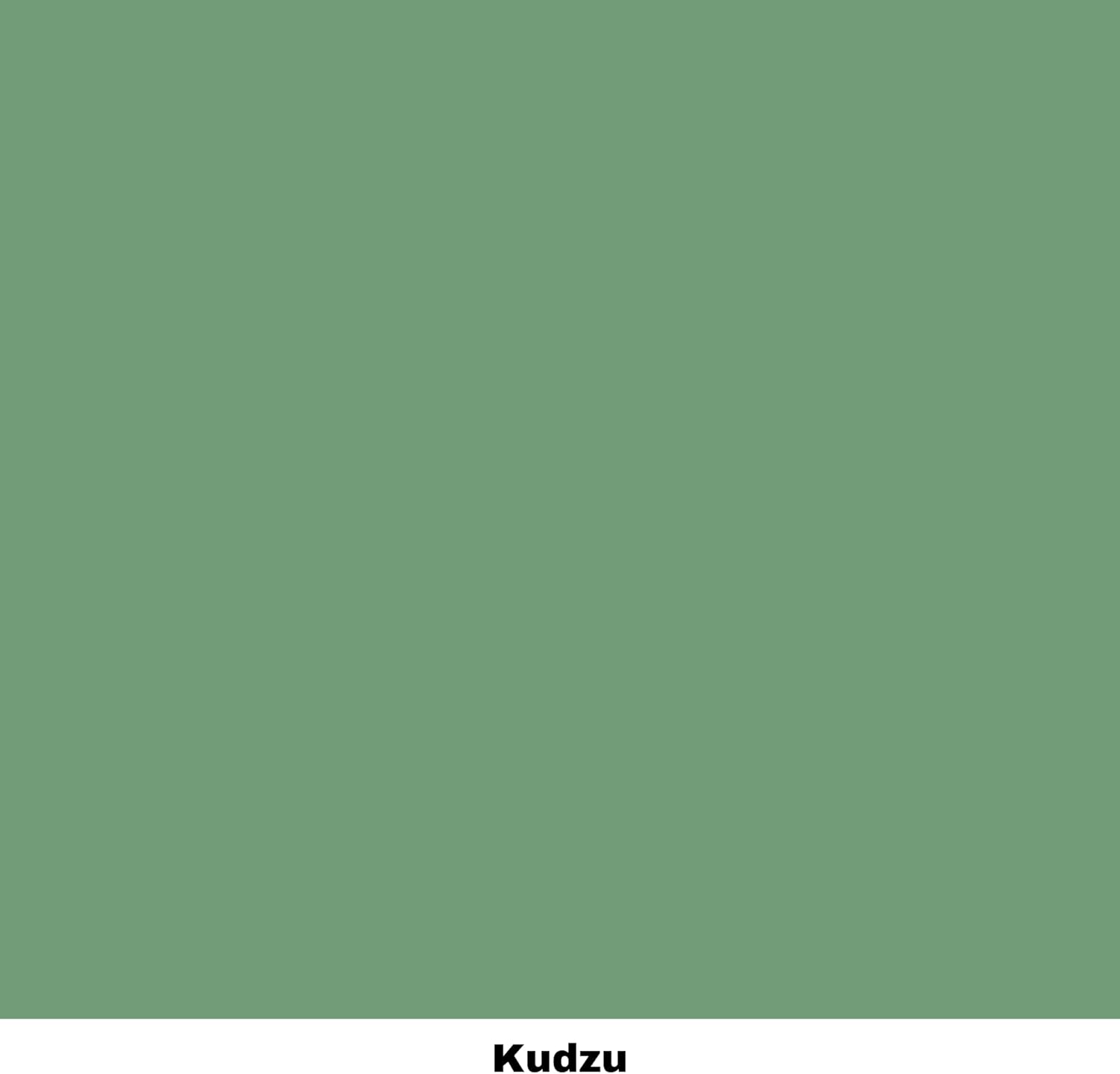 Dixie Belle Paint Company – Pintura con acabado de tiza para muebles, Kudzu (verde), 8 fl oz, pintura mineral color verde natural mate, fabricada en
