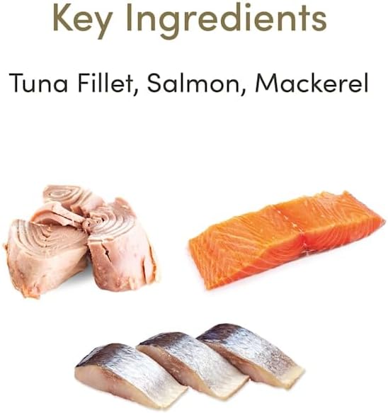 Applaws Alimento húmedo natural para gatos, 8 unidades, ollas de comida para gatos de ingredientes limitados, selección de pescado en salsa, macetas