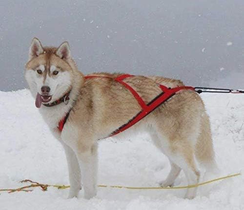 Arnés de trineo profesional de Neewa, arnés para tirar, arnés Husky, arnés de Mushing, arnés X Back para perro ejercicio, ciclismo, esquí, trineo