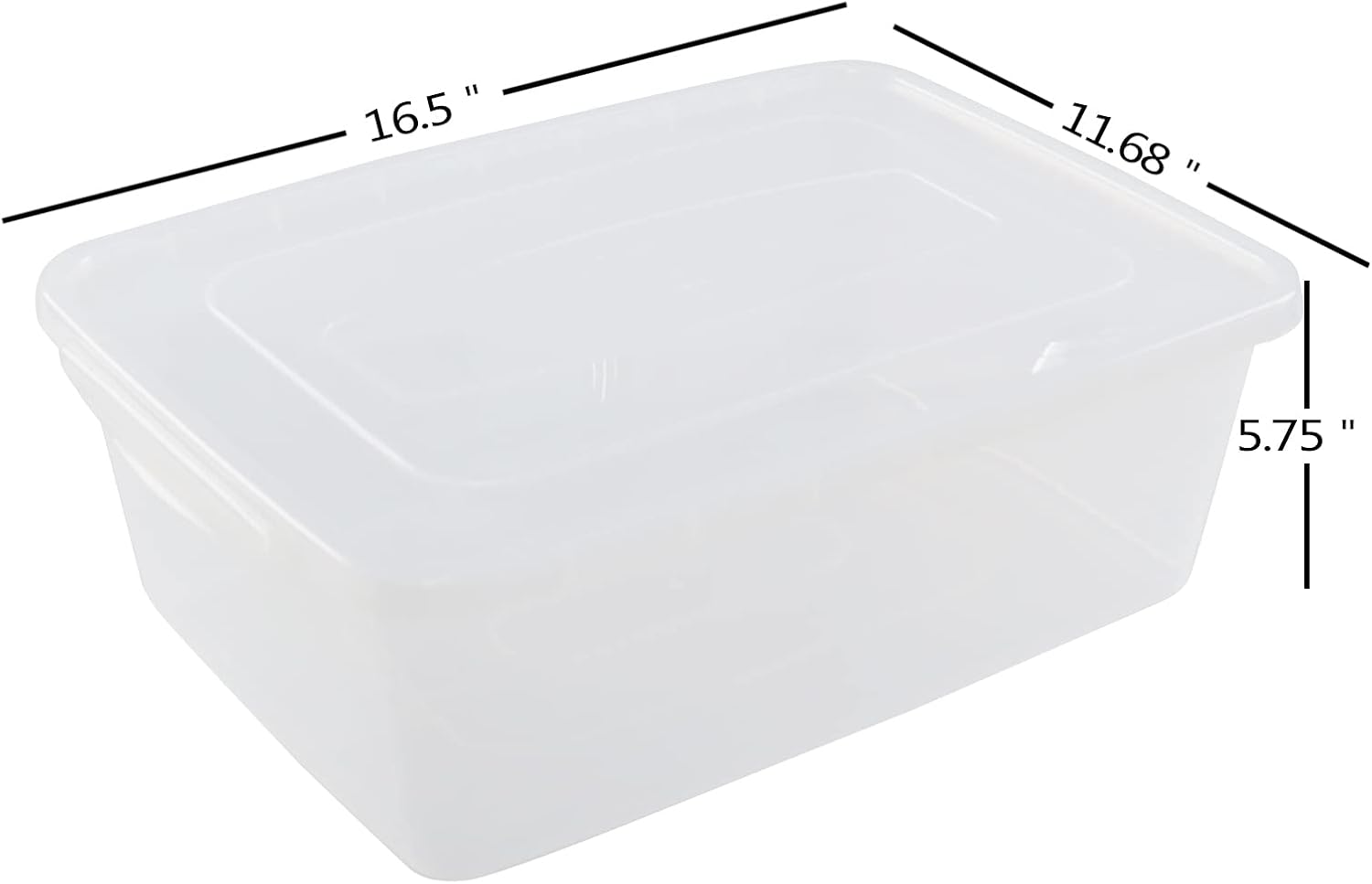 MORPHEUS MAX Afromy – Caja de plástico con cierre de 16 litros, 2 paquetes de contenedores de almacenamiento con tapa, transparente