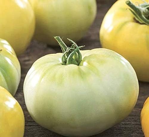 Semillas de tomate “blancas” para plantar, más de 50 semillas tradicionales por paquete, semillas de jardín de Isla (semillas de jardín de Isla),