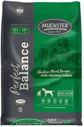 Muenster Perfect Balance – Harina de pollo con granos antiguos  Alimento seco para perros sin gluten  croquetas completas y equilibradas para perros