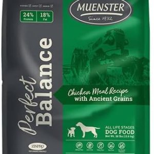 Muenster Perfect Balance – Harina de pollo con granos antiguos  Alimento seco para perros sin gluten  croquetas completas y equilibradas para perros Muenster Perfect Balance – Harina de pollo con granos antiguos  Alimento seco para perros sin gluten  croquetas completas y equilibradas para perros