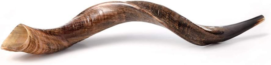 SHOFAR Set Full Natural Kudu Horn Yemenite + Bolsa + Guía + Estuche de transporte (30-32 pulgadas) de Israel