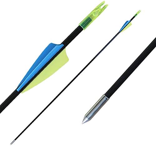 CQ Archery Fiberglass Target Practice Arrows 2830inch Recurve Bow Arrows for Beginners or Kids and Youth(12pcs)