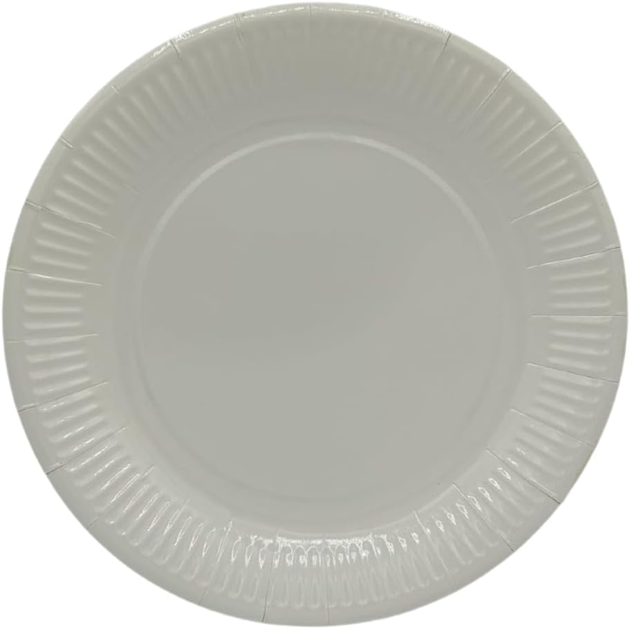 Platos de papel desechables ecológicos para fiestas, 9 pulgadas, colores surtidos, 20 unidades (blanco)