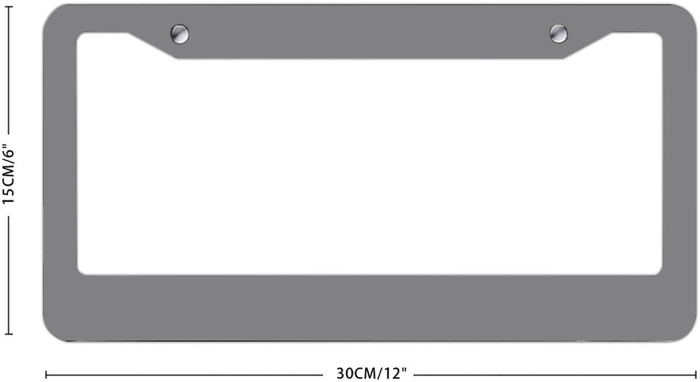 Marco de matrícula de color liso gris de 6 x 12 pulgadas, cubierta impermeable para placa de matrícula, novedad decorativa para el frente del