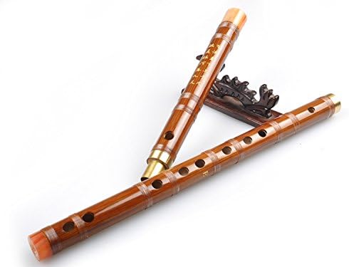 Flauta Dizi de bambú amargo para principiantes – Flauta Dizi shinobe chino (clave de F (Bangdi))