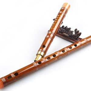 Flauta Dizi de bambú amargo para principiantes – Flauta Dizi shinobe chino (clave de G (Bangdi)) Flauta Dizi de bambú amargo para principiantes – Flauta Dizi shinobe chino (clave de G (Bangdi))