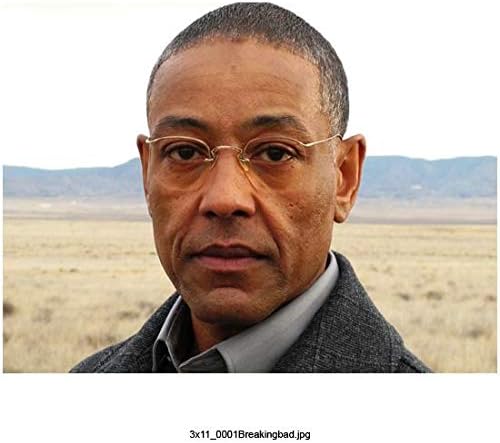 Giancarlo Esposito full face (Breaking Bad Season 3 – Gus Fring) – 8 inch x10 inch PHOTOGRAPH Performer & Actor Color PHOTOGRAPH-CJ