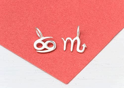 Gold Zodiac Sign Necklace 14 Tiny Solid Gold Personalized Pendant Charm 9k 18k Yellow White Rose Virgo Leo Gemini Minimalist Gift Thalassajewelry