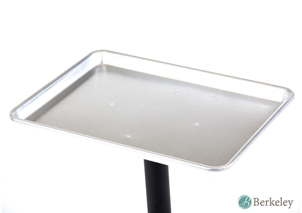 Bandeja de servicio BAILEY Rolling Salon – Plata, perfecta para salón, barbería, spa, coloración del cabello, estudio de tatuajes para mantener tus