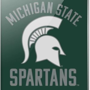 Imán de acrílico rectangular para refrigerador de Michigan State Spartans Imán de acrílico rectangular para refrigerador de Michigan State Spartans