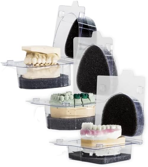 Portador de modelo dental y caja de dentadura con espumas Ortho Appliance Care Desechables Cajas transparentes de plástico (10)