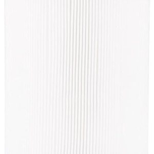 Yours – Filtro para bañera de hidromasaje compatible con filtros Unicel 6CH-940, PWW50, Filbur FC-0359, 1 paquete Yours – Filtro para bañera de hidromasaje compatible con filtros Unicel 6CH-940, PWW50, Filbur FC-0359, 1 paquete