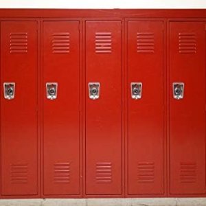 YongFoto Telón de fondo rojo de 8 x 6 pies, para deportes, gimnasio, escuela, armario de seguridad, fondo de habitación para fotografía, YongFoto Telón de fondo rojo de 8 x 6 pies, para deportes, gimnasio, escuela, armario de seguridad, fondo de habitación para fotografía,