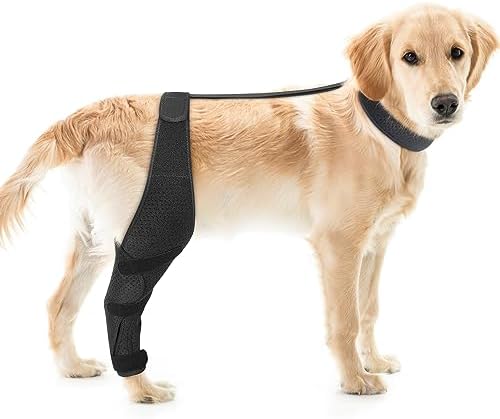 Rodillera ajustable para perro  Soporte para piernas de perro ACL para apoyo con lesiones de ligamento cruzado, dolor articular y dolor muscular,