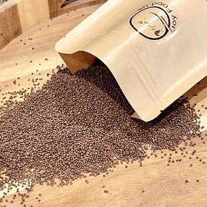 1 libra  Semillas de brote de brócoli cultivadas en Estados Unidos  Semillas de brócoli sin OMG para brotar en bolsa de pie  Semillas vegetales de