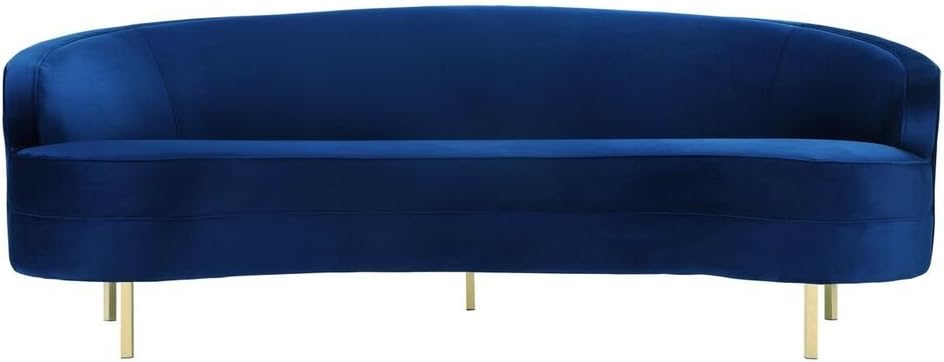 TOV Furniture The Baila Collection – Sofá curvo con tapicería de terciopelo de estilo moderno con patas de acero inoxidable, color azul marino