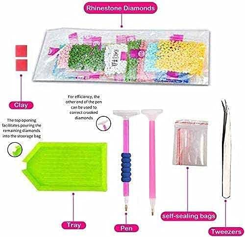 QUITEDEW Kits de pintura de diamantes para adultos, dibujos animados artísticos de diamantes, pintura con diamantes, animación de taladro completo,