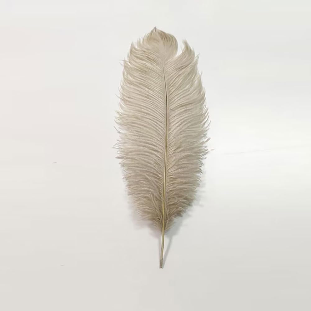 Lámpara de pie de plumas de avestruz para sala de estar, sofá, mesita de noche, lámpara de lectura elegante, romántica y hermosa (altura 66.9